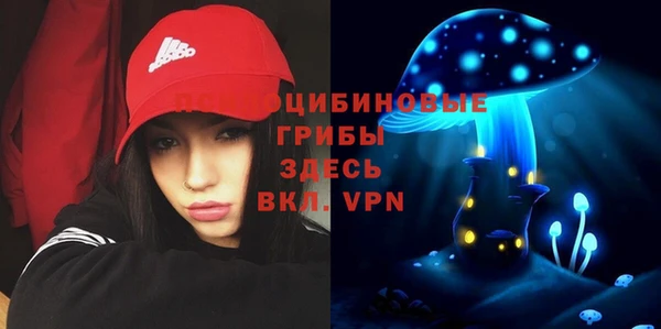 дмт Абаза