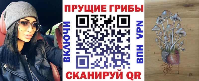 Псилоцибиновые грибы Psilocybe  Фокино 